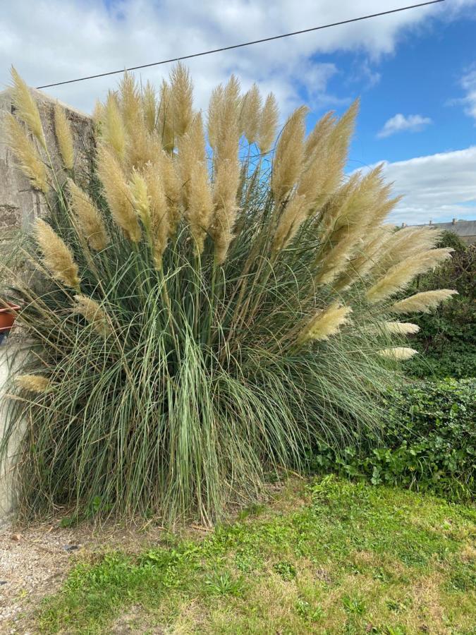 Gite Du Bois Pennier, Au Calme , A 15 Km Des Plages Du Debarquement Picauville Экстерьер фото